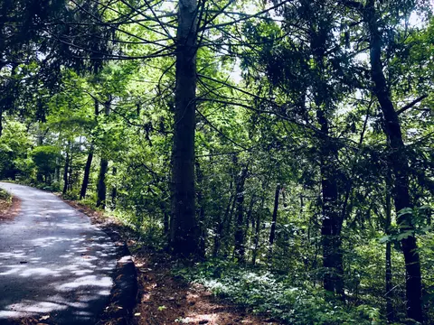 0 Evergreen Ln, Chatham, MA 02633