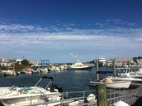 164 Millway, Barnstable, MA 02630 photo 13