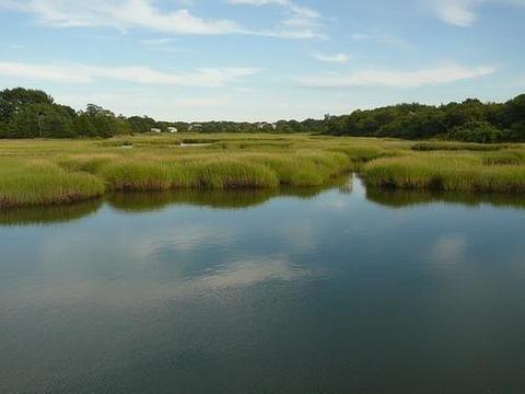 164 Millway, Barnstable, MA 02630 photo 15