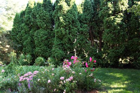 148 Main St, Cotuit, MA 02635 photo 11