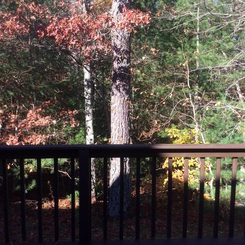 7 Driver Ln, Mashpee, MA 02649 photo 19
