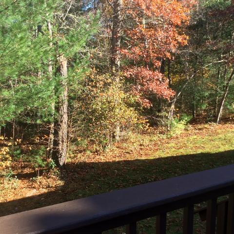 7 Driver Ln, Mashpee, MA 02649 photo 23