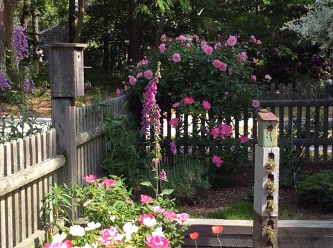 20 Gov Bradford Rd, Eastham, MA 02642 photo 22