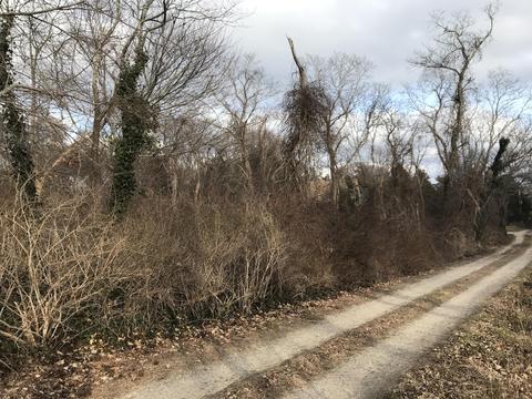 2 Highland Rd, Eastham, MA 02642 photo 1