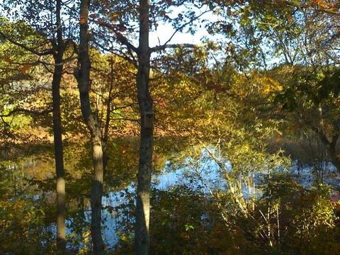 251 Shore Dr #E2, Mashpee, MA 02649 photo 27