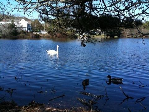251 Shore Dr #E2, Mashpee, MA 02649 photo 26