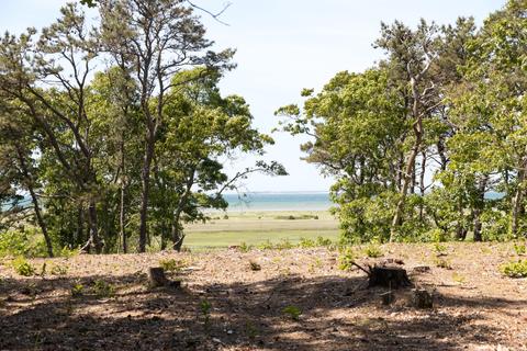 197 Mitchell Ln, Brewster, MA 02631 photo 8