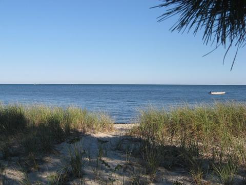 25 Vineyard Rd, Cotuit, MA 02635 photo 1