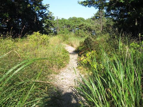 25 Vineyard Rd, Cotuit, MA 02635 photo 4