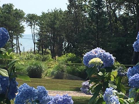 25 Vineyard Rd, Cotuit, MA 02635 photo 16