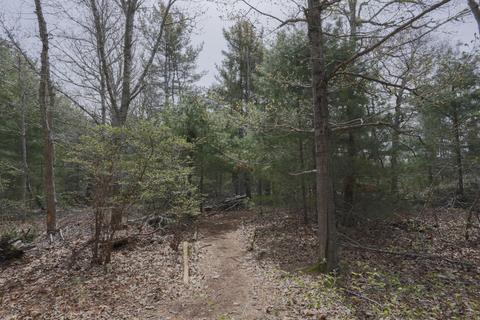 92 Old North Rd, Brewster, MA 02631 photo 12