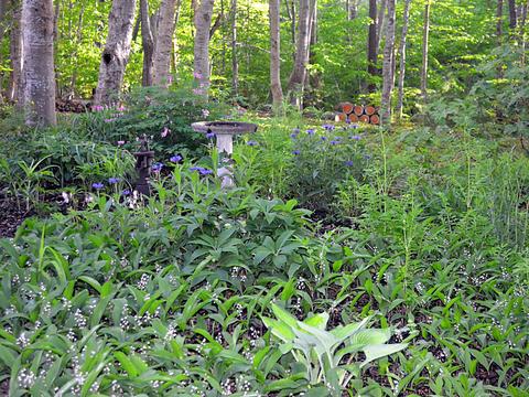 52 Schooner Dr, Cotuit, MA 02635 photo 27