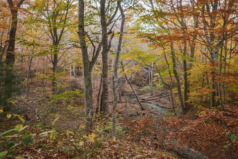 52 Schooner Dr, Cotuit, MA 02635 photo 22