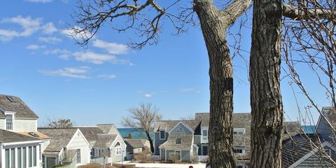 10 Barneys Ave, Mashpee, MA 02649 photo 12