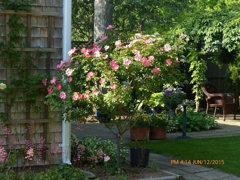 35 Farm View Ln, North Eastham, MA 02651 photo 31