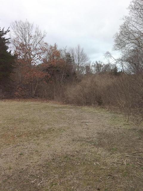 659 Bridge Rd, Eastham, MA 02642 photo 23