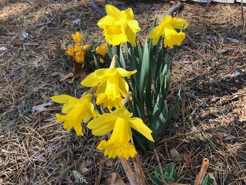 1945 Massasoit Rd, Eastham, MA 02642 photo 34
