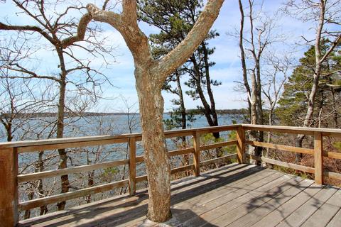 166 Beechtree Dr, Brewster, MA 02631 photo 29