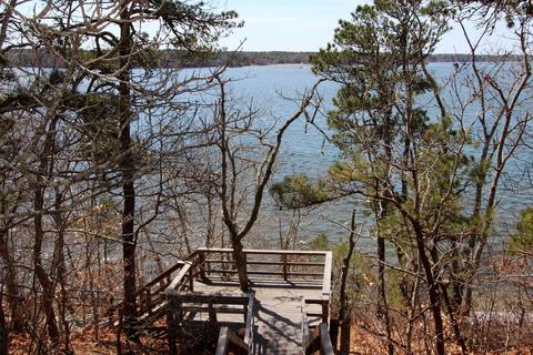 166 Beechtree Dr, Brewster, MA 02631 photo 27