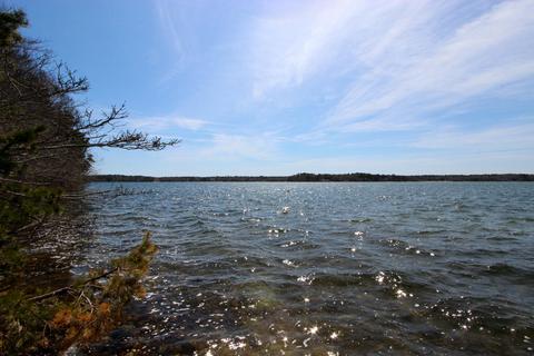166 Beechtree Dr, Brewster, MA 02631 photo 30