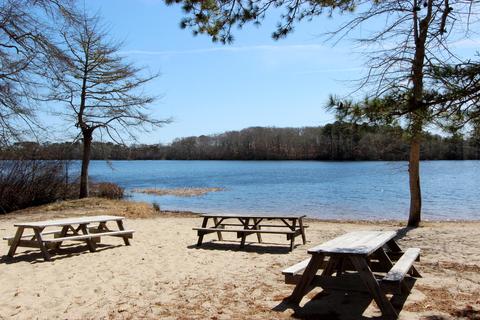 166 Beechtree Dr, Brewster, MA 02631 photo 4