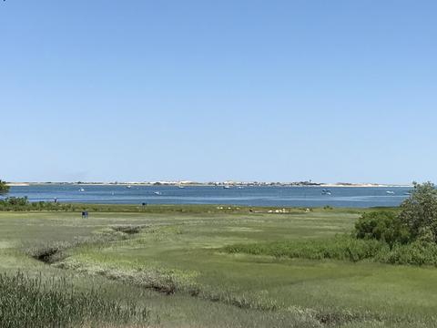 115 Rendezvous Ln, Barnstable, MA 02630 photo 33