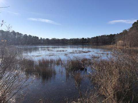 265 Mitchells Way, Hyannis, MA 02601 photo 1