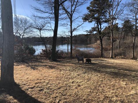 265 Mitchells Way, Hyannis, MA 02601 photo 5