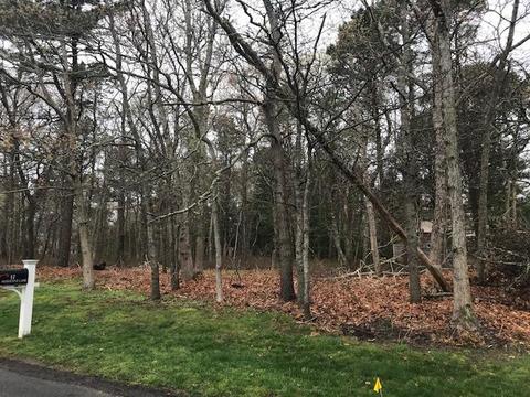 18 Constant Ln, Cotuit, MA 02635 photo 2