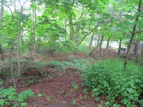 12 Eel Pond Rd, Bourne, MA 02532 photo 6