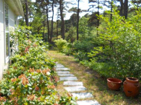 34 Paddock Way, Mashpee, MA 02649 photo 5