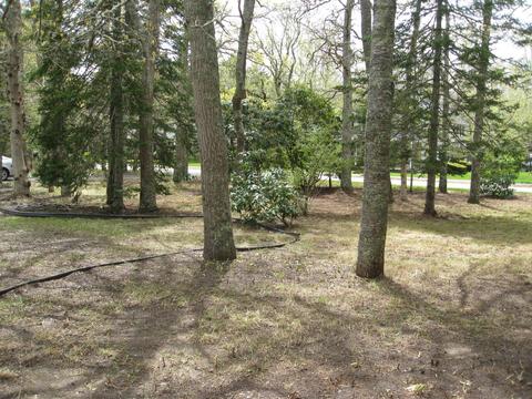 360 Main St, Cotuit, MA 02635 photo 2