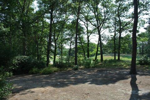 144 Glenneagle Dr, New Seabury, MA 02649 photo 8
