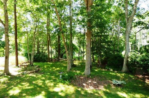 38 Peep Toad Rd, Centerville, MA 02632 photo 26