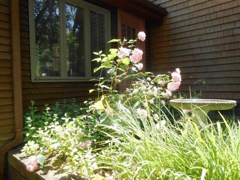38 Peep Toad Rd, Centerville, MA 02632 photo 25