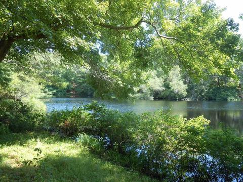 38 Peep Toad Rd, Centerville, MA 02632 photo 27
