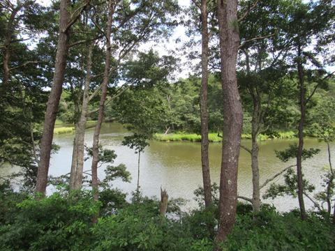 7 Riverview Ave #B, Mashpee, MA 02649 photo 11