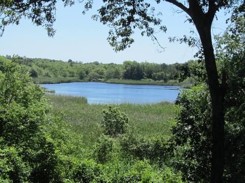 294 Bay Ln, Centerville, MA 02632 photo 13