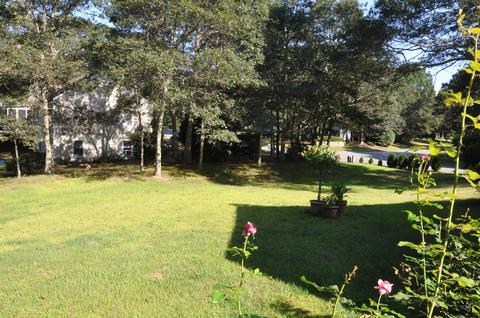 137 Camelback Rd, Marstons Mills, MA 02648 photo 22