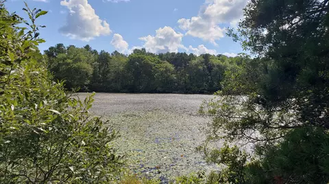 9 Mayfair Ct, Mashpee, MA 02649 photo 45