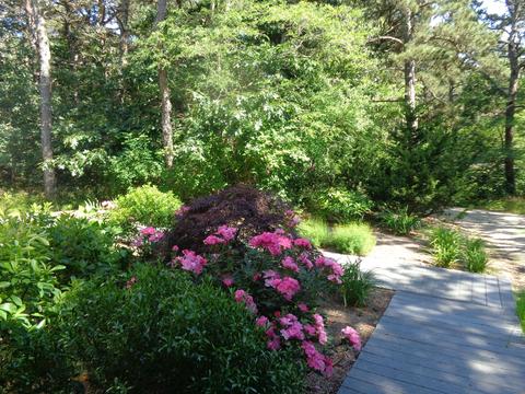 260 Pilgrim Spring Rd, Wellfleet, MA 02667 photo 38