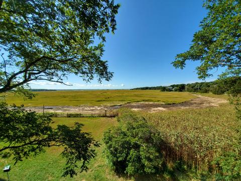 895 Herring Brook Rd, Eastham, MA 02642 photo 5