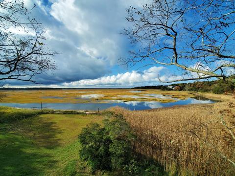 895 Herring Brook Rd, Eastham, MA 02642 photo 1