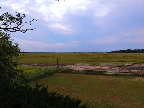 895 Herring Brook Rd, Eastham, MA 02642 photo 41