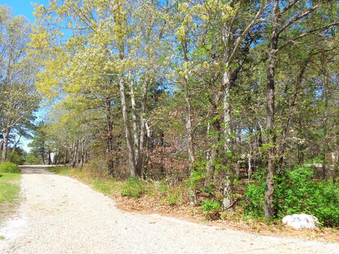 25 Crest Ave, Wellfleet, MA 02667 photo 47