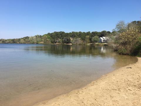 15 Pilgrim Ln, Eastham, MA 02642 photo 31