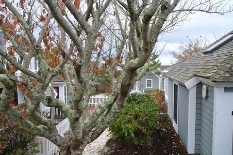 5 Barneys Ave, New Seabury, MA 02649 photo 13