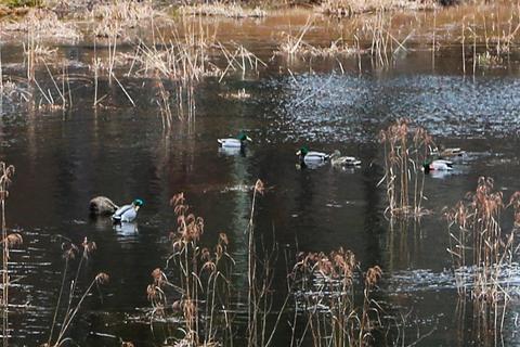175 Gingerplum Ln, Eastham, MA 02642 photo 8