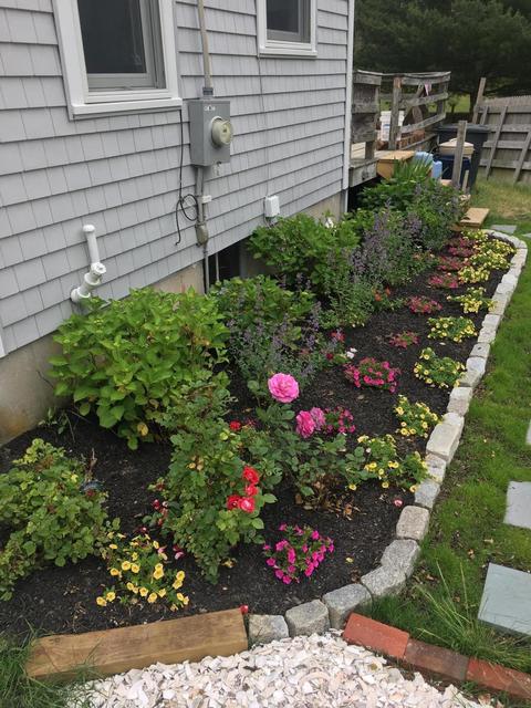 96 Grove St, Cotuit, MA 02635 photo 3