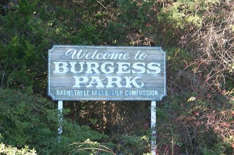 159 Starlight Dr, Marstons Mills, MA 02648 photo 26